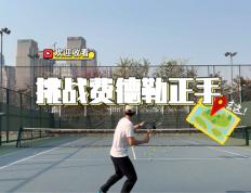 复仇之战！费德勒率领日本队成功终止连败的简单介绍